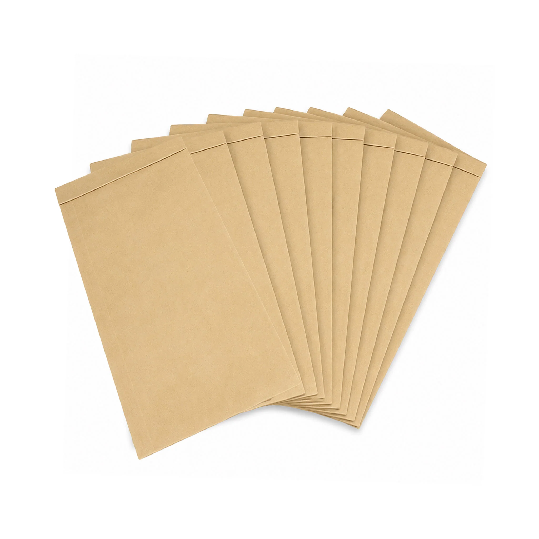 CleanUp CU62P Vacuum Bags 10 Pack